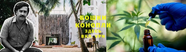 дмт Краснослободск