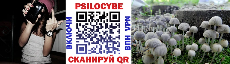 Купить закладки  Среднеколымск  Галлюциногенные грибы мухоморы 